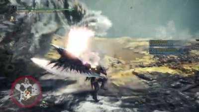 Leap attack gone wrong