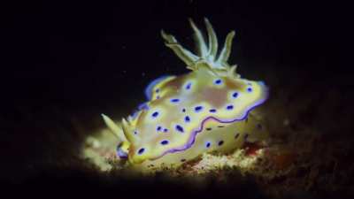 Marilyn Monroe Nudi!