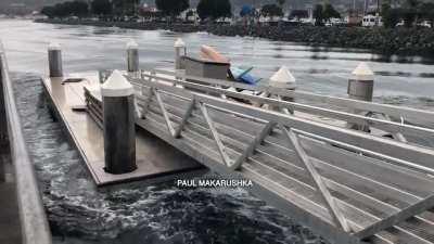 Swells and rebound wake from The Tsunami swells came at 8:31 am and the rebound (dock reax) was at 8:35. location Shelter Island Pier