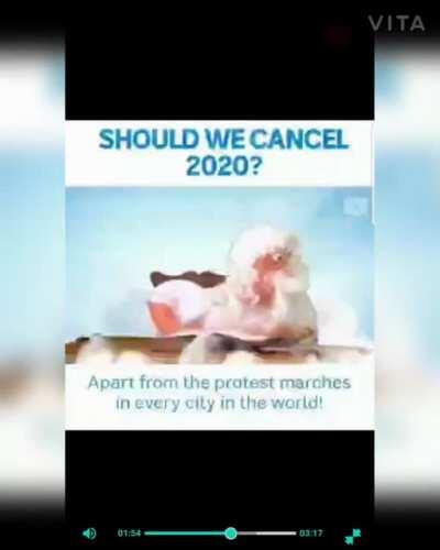 HMMMMMM SHOULD WE?!?!?!