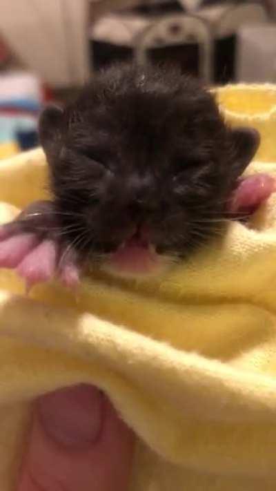 The teeny tiniest possible scrunge