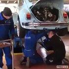 That's how beetles are made