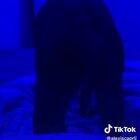 The little smile was just extra cute.