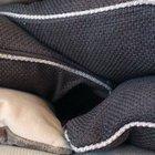 These 8 seconds will make you smile!