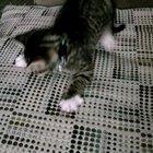 What's this? What's this? There's magic everywhere!