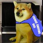 Estos es cuando un papulince dice algo