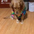 Ok my bad, lesson learned.