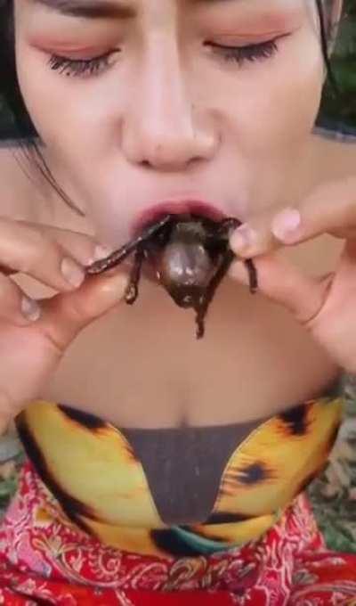 S.E Asian cuisine 🤤🤤