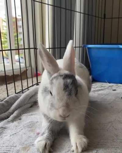 a lazy sunday indeed 🥱