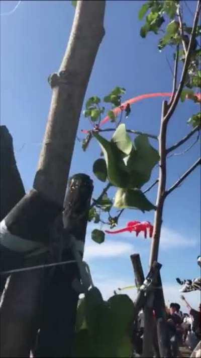 Yes, thats an actual girl