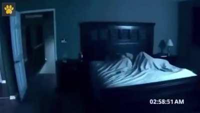 if (night_time) haunt_my_human();