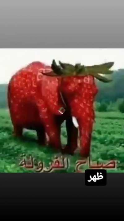 Abdul WhatsApp waking up alarm halal