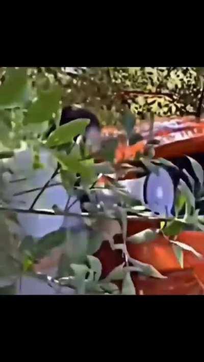 When you use your superpowers for good