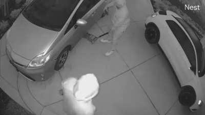 armed catalytic converter thieves down the street from us