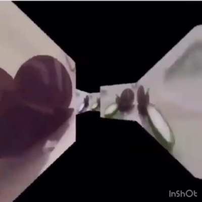 Plzz stop he is eating