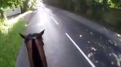 Cyclists being complete jerks (Swearing at the end of video)