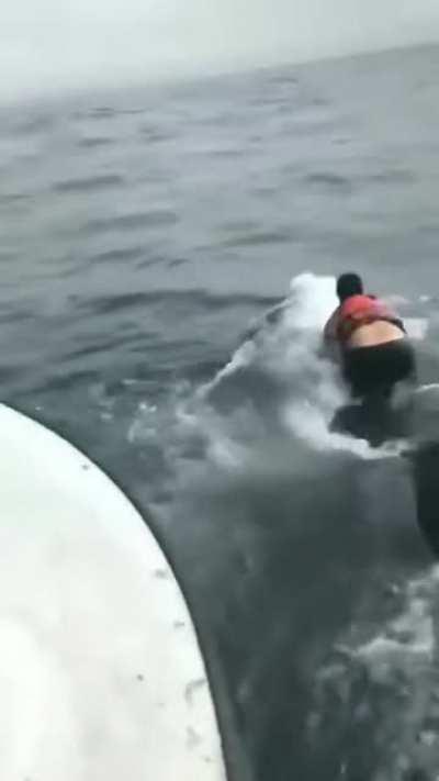 Man jumps into the water with a humpback whale and climbs on top of it in order to cut off a fishing line wrapped around it