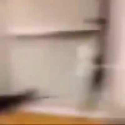 Fiquem longe das suas namoradinhas quando esta de tpm