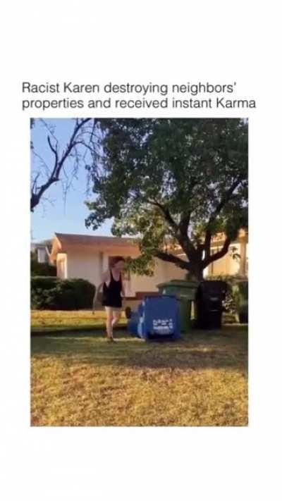 Racist Karen destroying neighbors’ properties