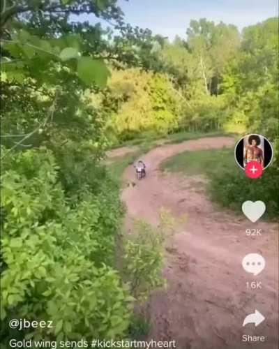 Hold my beer while I prove that a Goldwing is an all purpose motorcycle!