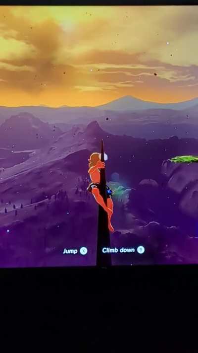 Zelda: could you do that thing you did my last birthday? Link: hold my master sword.