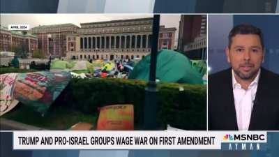 MSNBC’s Ayman Mohyeldin provides more background on the DHS abductions of students and the pro-Israel groups like Betar US who are behind them.