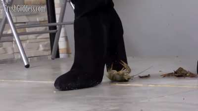 Rita Crushing Crawdads - Bug Crushed