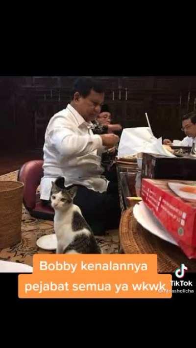 Fun fact : Prabowo punya peliharaan kucing. Namanya Bobby