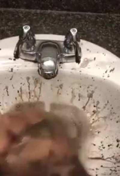 My friend sent this to me on Discord and... uh...