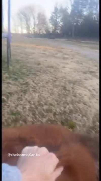 sorry I'm late to work. my pony got stuck in a swing...