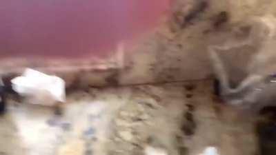 Yeah definitely couldn't tell that was gonna happen