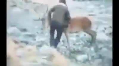 Jumps out of a helicopter to wrestle an buck to the ground