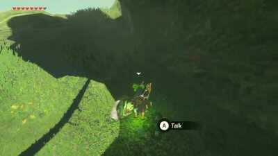 I ACCIDENTALLY DROPPED A ROCK ON THIS POOR KOROK