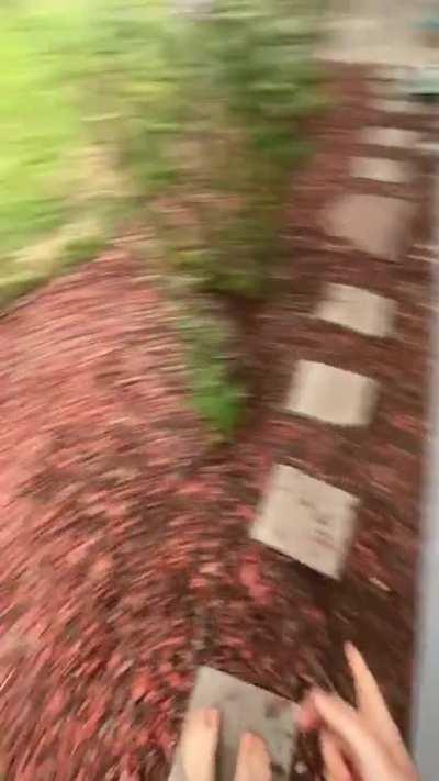 Watch til the end: wolfdog creates a new door; feels v bad about it (pardon my blaspheming).