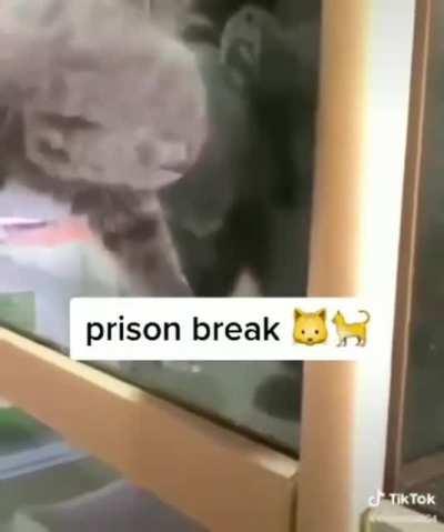 Thought of y&rsquo;all when I saw this