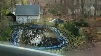 PRO TIP: if you ever find yourself SURROUNDED by Government Drones, simply say the word 