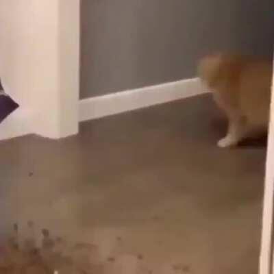 Paraaaaa porque tanta comidaaaaaaaaaa