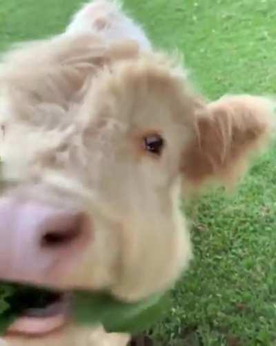 What a precious baby ❤️