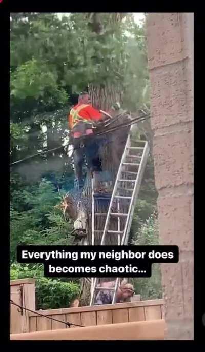 Having your wife hand you a screwdriver while you’re on a ladder cutting a large tree limb with a chainsaw 