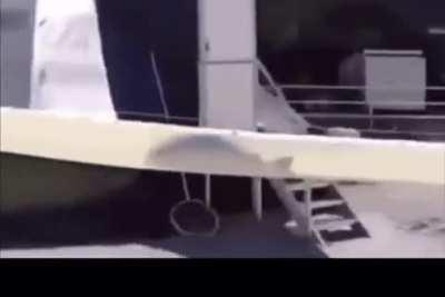 Blursed fish from home