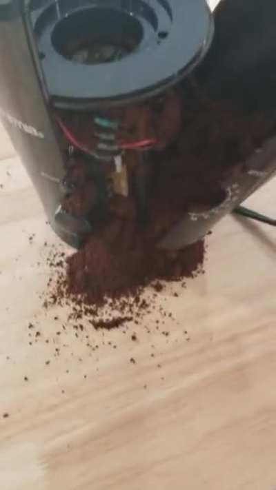 My coffee grinder started smoking while grinding a new batch of beans.