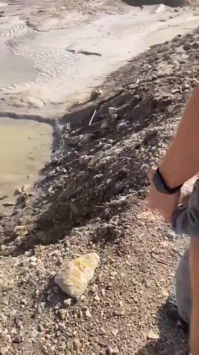 Maybe maybe maybe