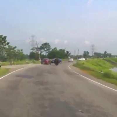 Rhino rampaging on a road in India