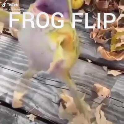 Frog flip? Frog flip.