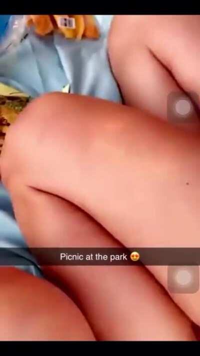 Picnic at the park