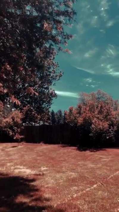 I think I took too much..