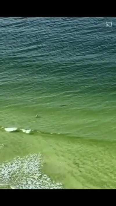 Almost made the news