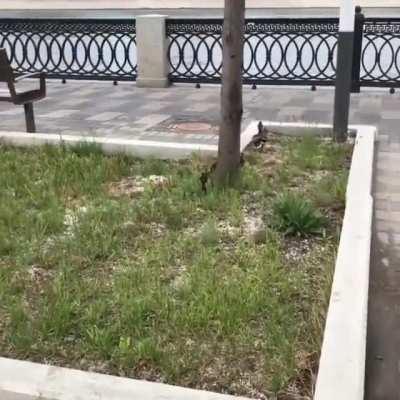 Десант. Само десантирование в конце ролика:)