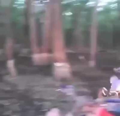 The rider or the storm