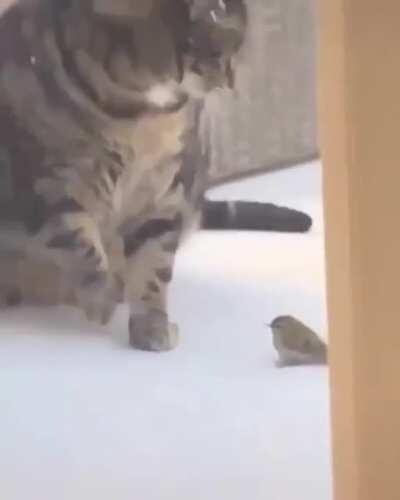 Playing with my friend ..